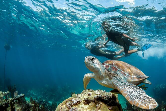 akumal6