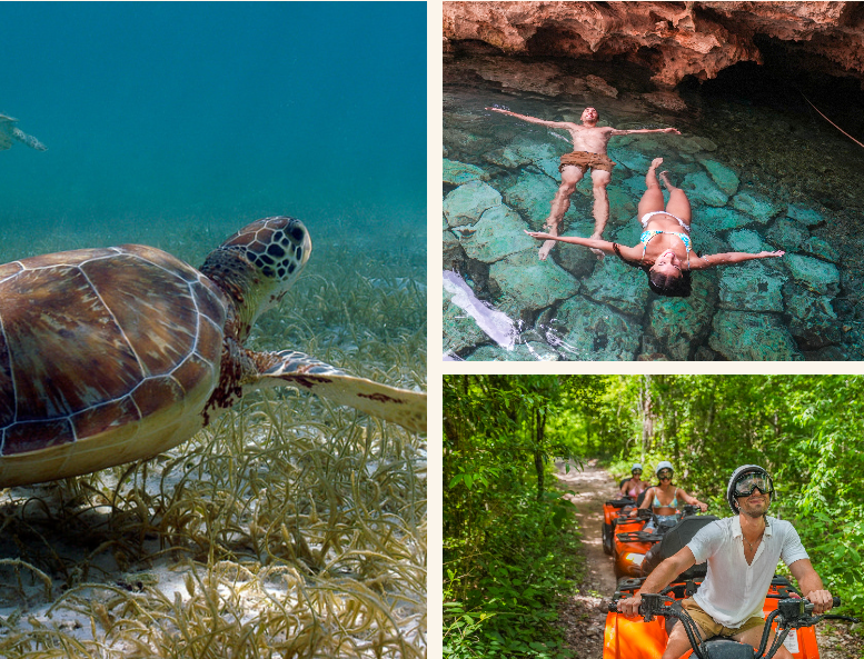tortugasv akumal cenote